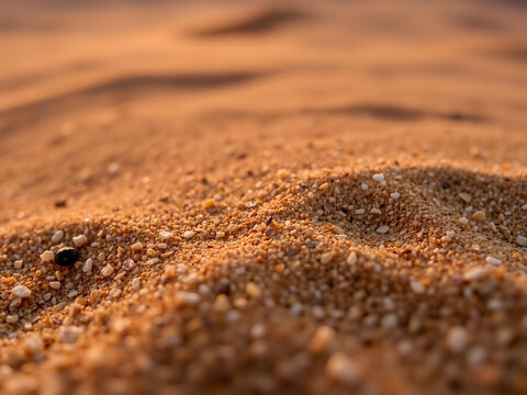 Dune Surface Detail