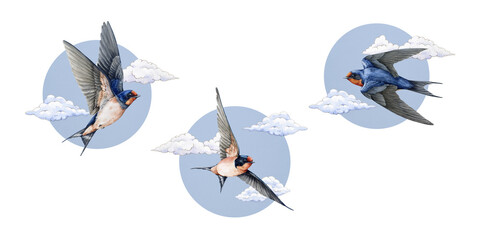 Flying swallow bird on sky background with clouds watercolor illustration hand drawn decoration set. Barn swallow with spread wings decor element. Free flying martin bird wildlife nature collection