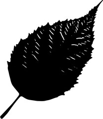 leaf silhoutte 