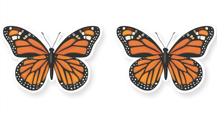 Obraz premium Two monarch butterflies on white background, nature illustration, for design