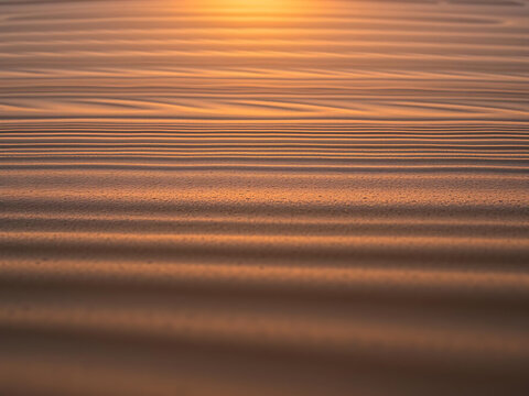 Golden Dune Ridges