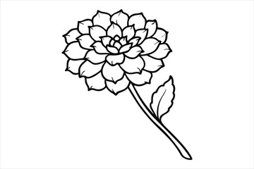 Line art marigold with the stem wrapping around itself