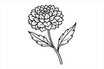 Line art marigold with the stem wrapping around itself