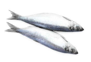 Two salted herrings on white background, top view