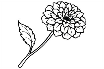 Line art marigold with the stem wrapping around itself