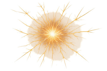 Obraz premium Bright electric burst with radiating orange lightning-like branches from a central glowing point.