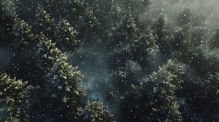 Obraz premium Aerial View Of Snowy Forest In Foggy Night