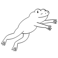 frog jumping doodle illustration