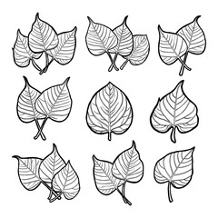 Beautiful Bodhi Leaves Collection. Vector Illustration about Nature.