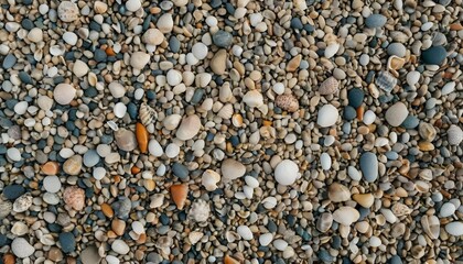 Seashells and Pebbles Beach Texture Coastal Stone and Shell Background
