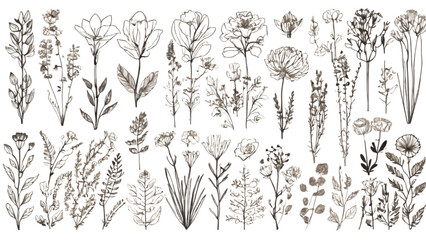 Fototapeta premium seamless pattern with flowers