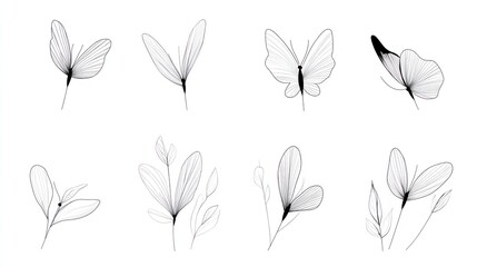 Elegant line art butterflies and leaves; white background; design elements