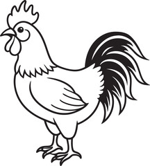 Fototapeta premium Rooster Illustrations and Silhouette Roosters Collection, hen and rooster cock vector illustration colorful, silhouette , line artv