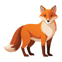 Obraz premium Fox Vector 