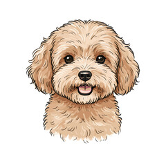 Fluffy Poodle Illustration
