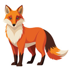 Obraz premium Fox Vector 