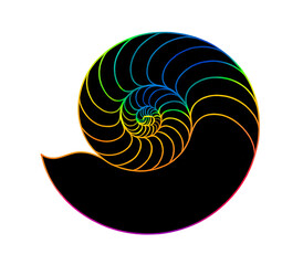 Nautilus Shell