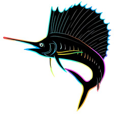 Sailfish