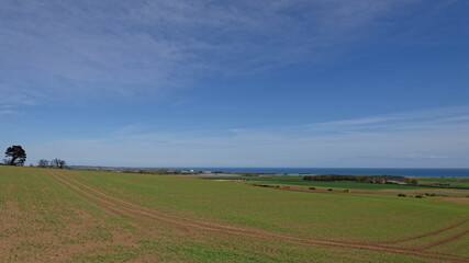The view across the sloping Farmland at the Mains of Kelly over to the coast and the outskirts of Arbroath in the far distance.