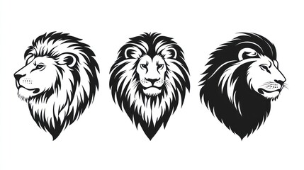 Fototapeta premium Three lion head illustrations, profile and front views, white background, for logos