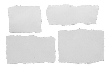 ripped element set of torn paper edges isolated with clipping path on white background. torn paper texture, ripped of paper designs and jagged paper edges create a raw, artistic look