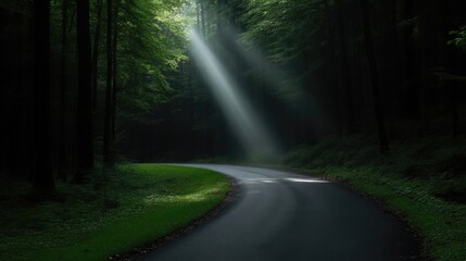 Obraz premium Sunlight Piercing Dark Forest Road