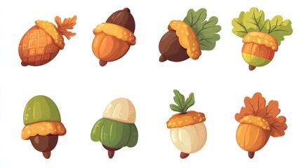 Colorful acorns autumn harvest illustration