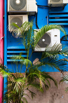 Tropical plants and air conditioners on bright blue wall