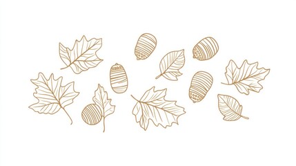 Obraz premium Autumn leaves and acorns on white background, fall design