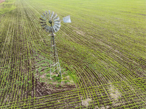 A metal windmill sitting on an agricultural field with rows of growing plants