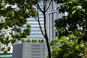 Modern skyscrapers framed by green trees, Kuala Lumpur