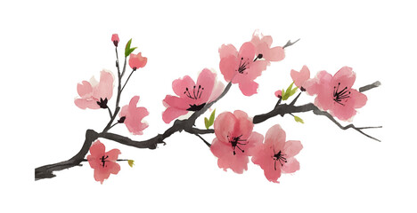 Blooming Cherry Blossom Branch in Watercolor Style with Pink Petals on Black Background