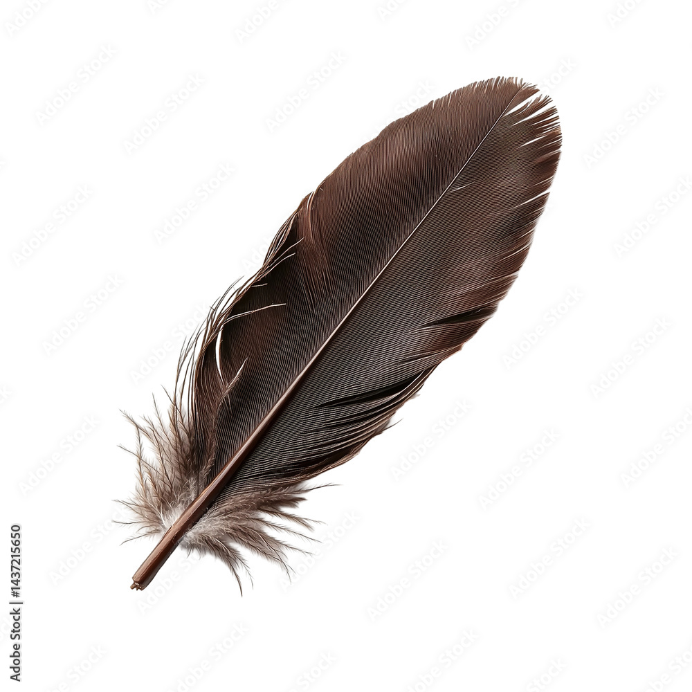 Poster detailed avian plumage a macro study of nature's delicate structure isolated on transparent backgrou