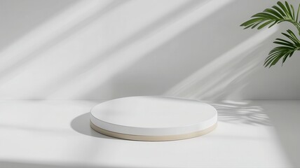 White Platform with Shadows and Palm Fronds platform white wood minimal background palm fronds empty