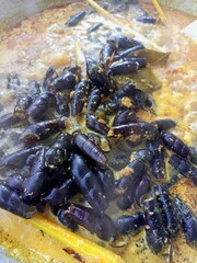 Katuyung or freshwater snails, consumed by cooking them using coconut milk and savory and spicy spices.