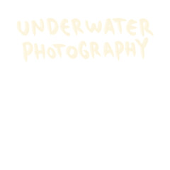 Hand Drawing and Hand lettering For Hobby