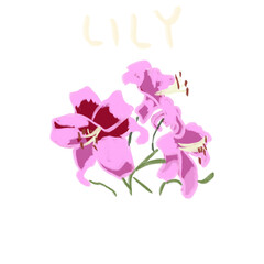 Hand Drawn and Hand Lettering Flower