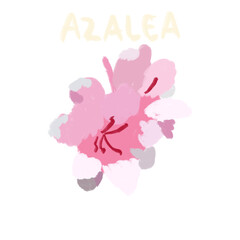 Hand Drawn and Hand Lettering Flower