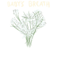 Hand Drawn and Hand Lettering Flower