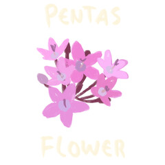 Hand Drawn and Hand Lettering Flower