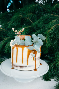 Christmas cake