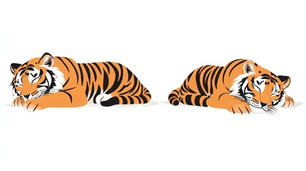 Obraz premium Two tigers sleeping, white background, wildlife illustration, children's book