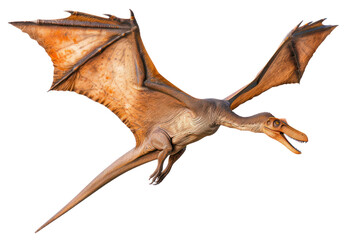 Detailed realistic model of a Pterodactyl dinosaur flying with open wings, elongated beak, claws, soa in clear blue sky with white clouds