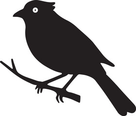 bird, sparrow, robin, eagle, hawk, pigeon, dove, flamingo, parrot, peacock, canary, stork, crow