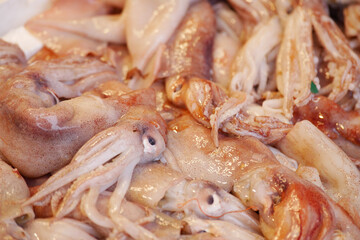 Fresh squid piled at a seafood market in the early morning
