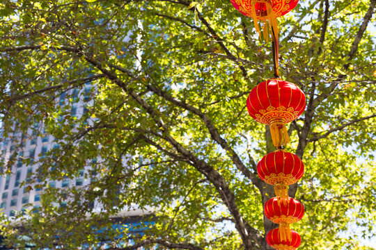 chinese lanterns at a chinese new year celebration in melbourne cbd with a building and tree