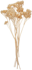 Dried Bleached Achillea Flower Bouquet