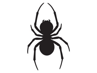  BLACK WIDOW SILHOUETTE