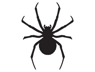  BLACK WIDOW SILHOUETTE