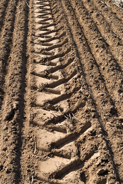 ploughed paddock planted with seeds